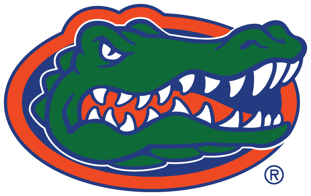 Florida Gators iron ons